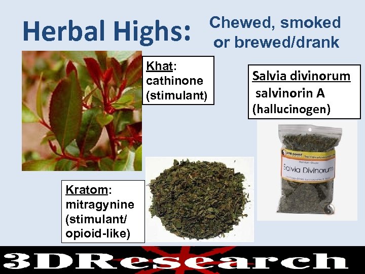 Herbal Highs: Chewed, smoked or brewed/drank Khat: cathinone (stimulant) Kratom: mitragynine (stimulant/ opioid-like) Salvia