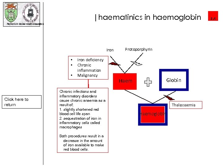 |haematinics in haemoglobin Partners in Global Health Education Iron • • • Click here