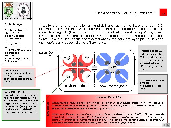 | haemoglobin and O 2 transport 2. 6 Partners in Global Health Education Contents