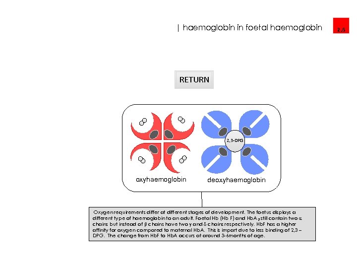 | haemoglobin in foetal haemoglobin Partners in Global Health Education RETURN 2, 3 -DPG