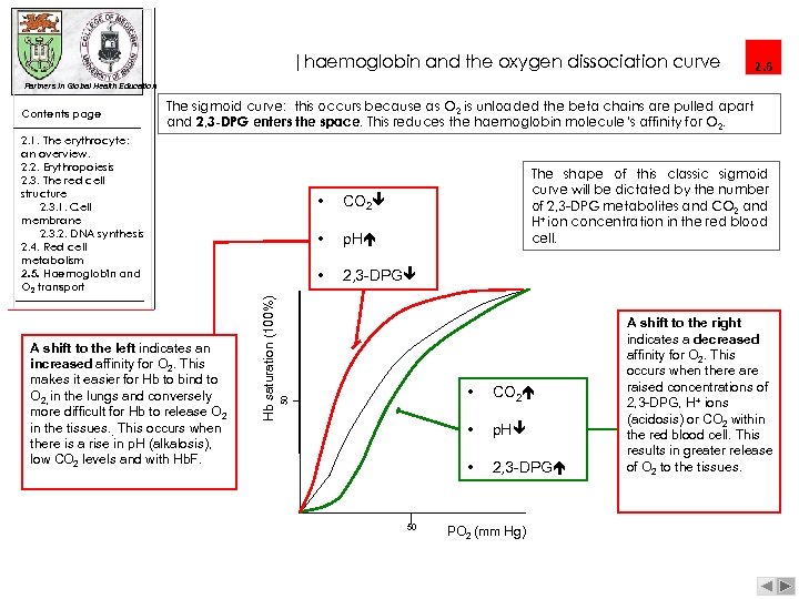 |haemoglobin and the oxygen dissociation curve 2. 6 Partners in Global Health Education The
