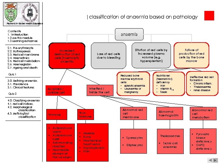 |classification of anaemia based on pathology Partners in Global Health Education Contents anaemia 1.
