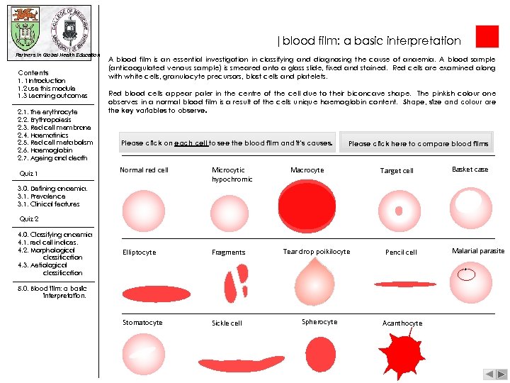 |blood film: a basic interpretation Partners in Global Health Education Contents 1. 1 Introduction