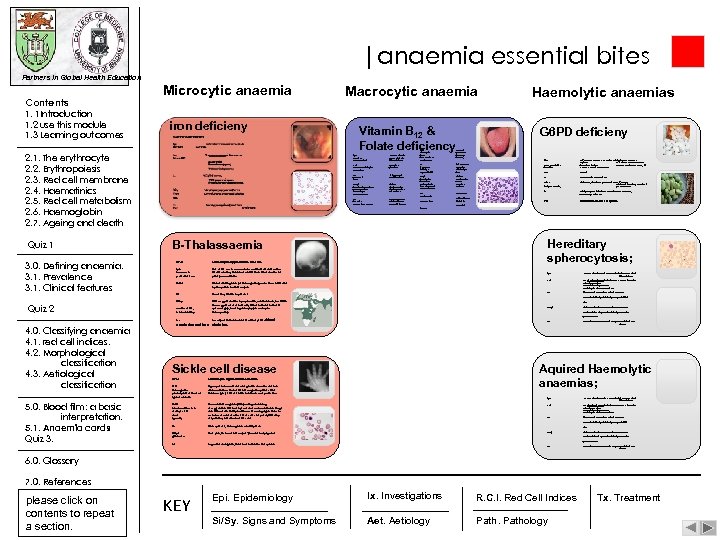 |anaemia essential bites Partners in Global Health Education Contents 1. 1 Introduction 1. 2