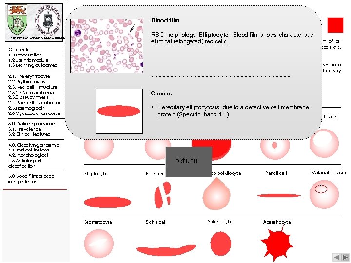 Blood film Partners in Global Health Education Contents 1. 1 Introduction 1. 2 use
