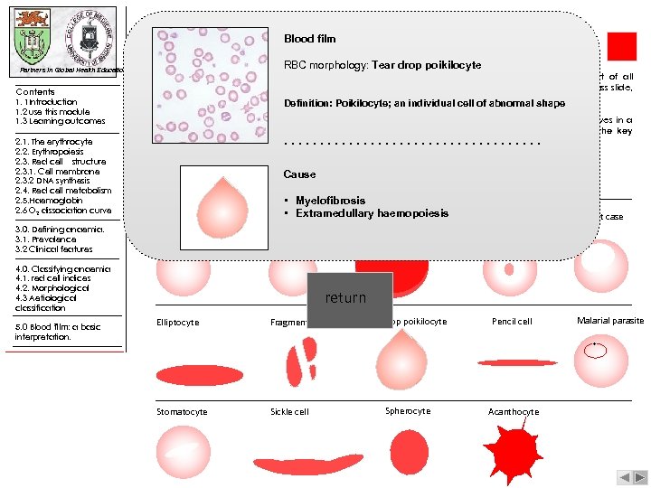 Blood film Partners in Global Health Education Contents 1. 1 Introduction 1. 2 use