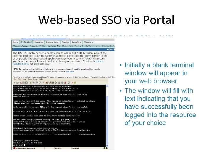 Web-based SSO via Portal 