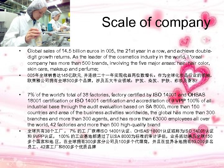 Scale of company • Global sales of 14. 5 billion euros in 005, the