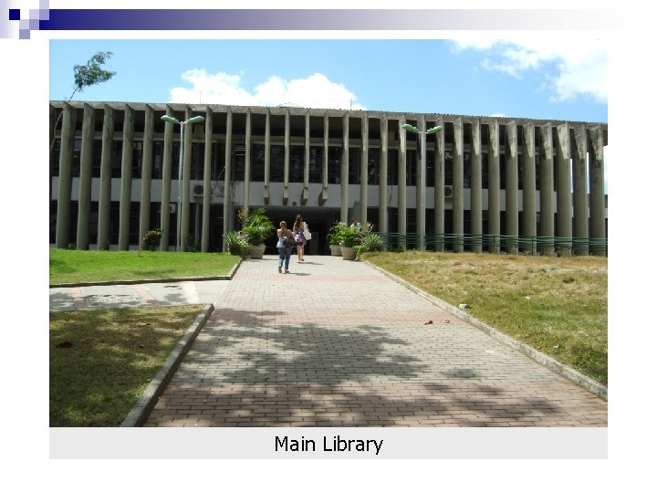 Main Library 