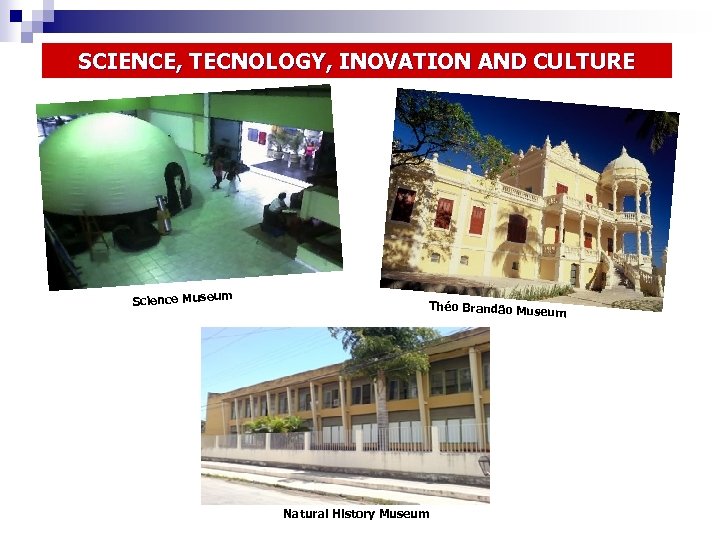 SCIENCE, TECNOLOGY, INOVATION AND CULTURE Science Museu m Théo Brandão Museu m Natural History