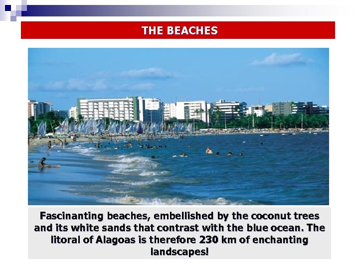  THE BEACHES Fascinanting beaches, embellished by the coconut trees and its white sands