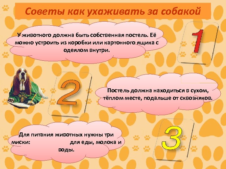 Советы как ухаживать за собакой У животного должна быть собственная постель. Её можно устроить