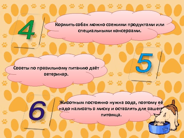 Кормить собак можно свежими продуктами или специальными консервами. Советы по правильному питанию даёт ветеринар.