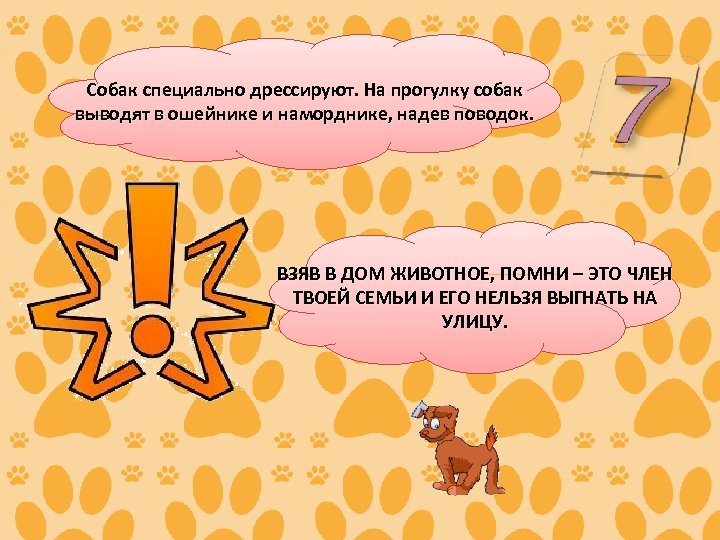 Собак специально дрессируют. На прогулку собак выводят в ошейнике и наморднике, надев поводок. ВЗЯВ