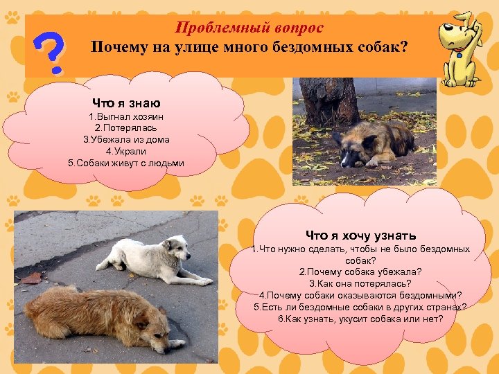 ? Проблемный вопрос Почему на улице много бездомных собак? Что я знаю 1. Выгнал