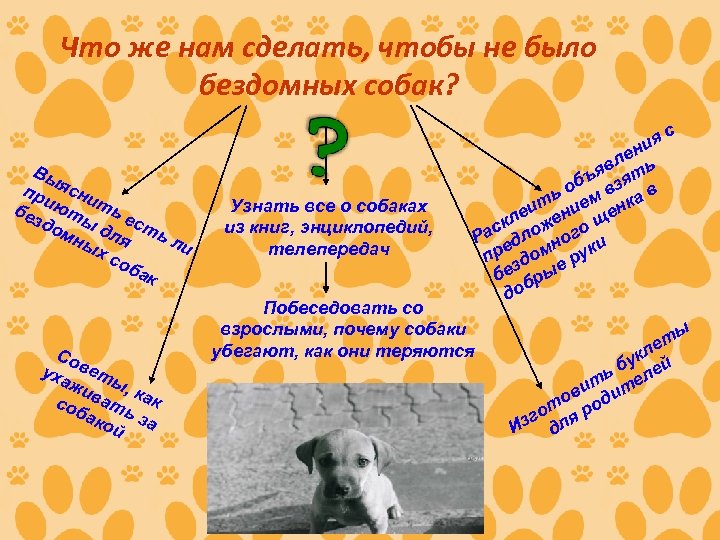 Что же нам сделать, чтобы не было бездомных собак? Вы пр ясни и бе
