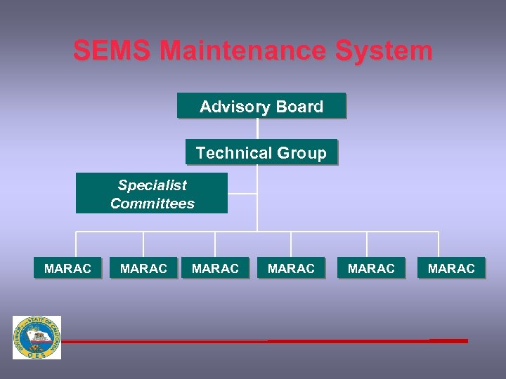 SEMS Maintenance System Advisory Board Technical Group Specialist Committees MARAC MARAC 