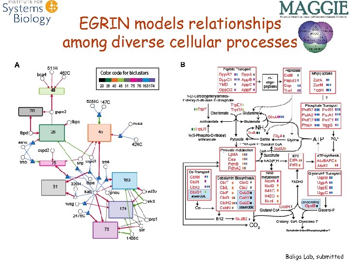 EGRIN models relationships among diverse cellular processes Baliga Lab, submitted 
