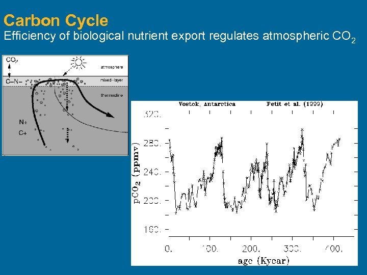 Carbon Cycle Efficiency of biological nutrient export regulates atmospheric CO 2 