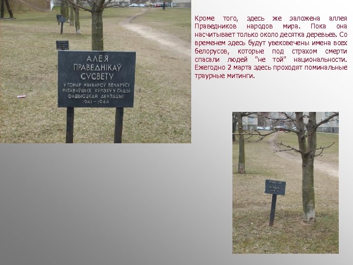 Кроме того, здесь же заложена аллея Праведников народов мира. Пока она насчитывает только около