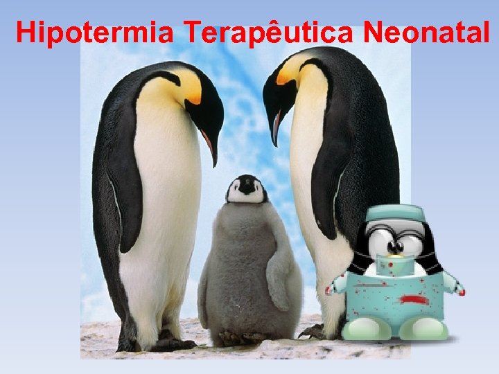 Hipotermia Terapêutica Neonatal 