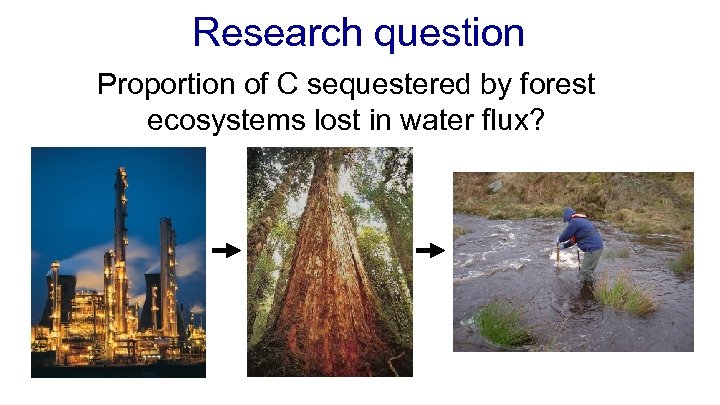 Research question Proportion of C sequestered by forest ecosystems lost in water flux? 