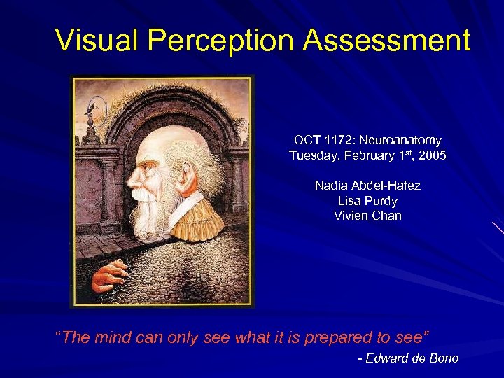 Visual Perception Assessment OCT 1172: Neuroanatomy Tuesday, February 1 st, 2005 Nadia Abdel-Hafez Lisa