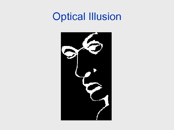 Optical Illusion 