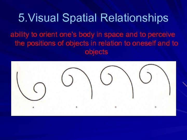 5. Visual Spatial Relationships ability to orient one’s body in space and to perceive