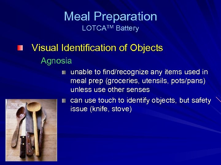 Meal Preparation LOTCATM Battery Visual Identification of Objects Agnosia unable to find/recognize any items