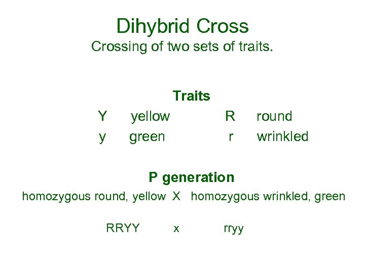 Dihybrid Crossing of two sets of traits. Traits Y yellow R round y green