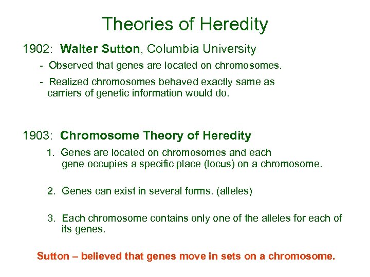 Theories of Heredity 1902: Walter Sutton, Columbia University - Observed that genes are located