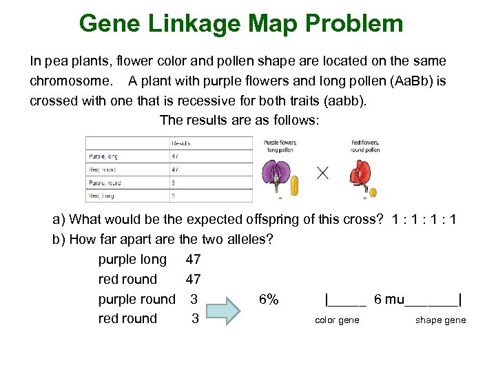 Gene Linkage Map Problem In pea plants, flower color and pollen shape are located