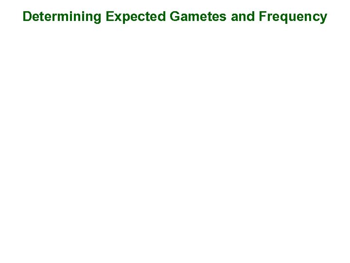 Determining Expected Gametes and Frequency 