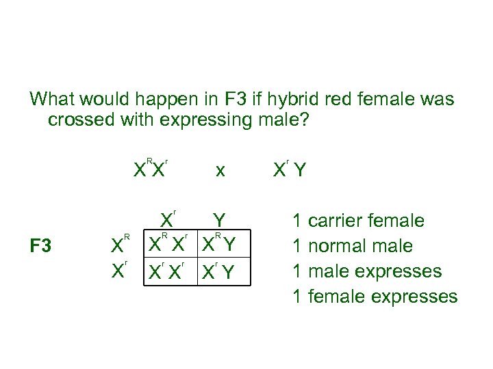 What would happen in F 3 if hybrid red female was crossed with expressing