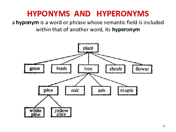 HYPONYMS AND HYPERONYMS a hyponym is a word or phrase whose semantic field is