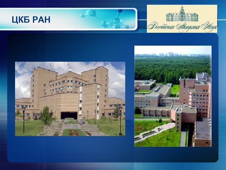 ЦКБ РАН 