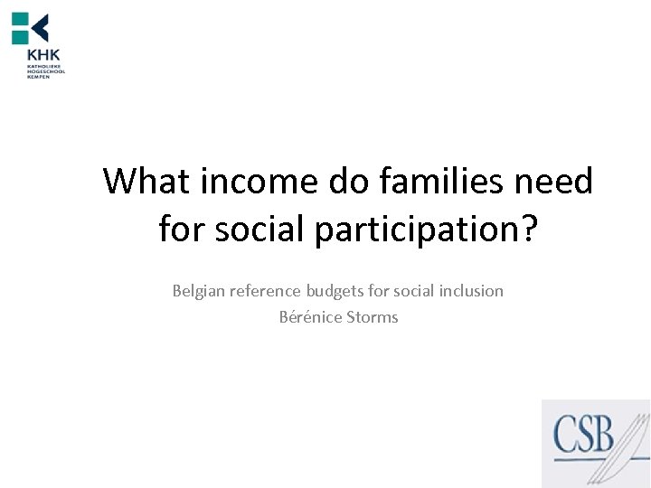 What income do families need for social participation? Belgian reference budgets for social inclusion