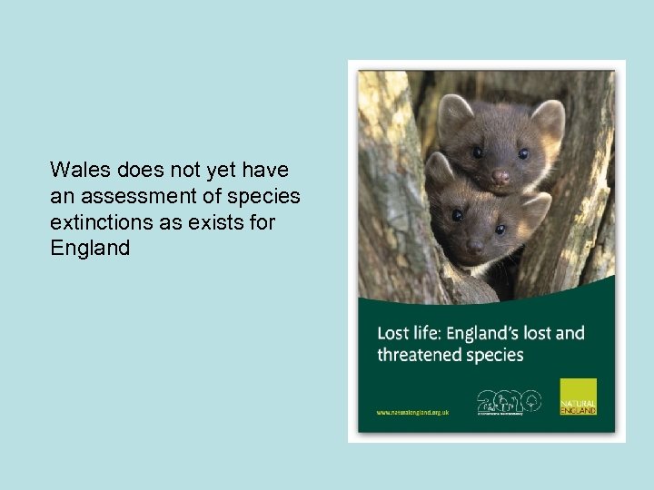 Wales does not yet have an assessment of species extinctions as exists for England