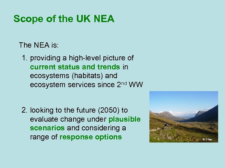 Scope of the UK NEA The NEA is: 1. providing a high-level picture of