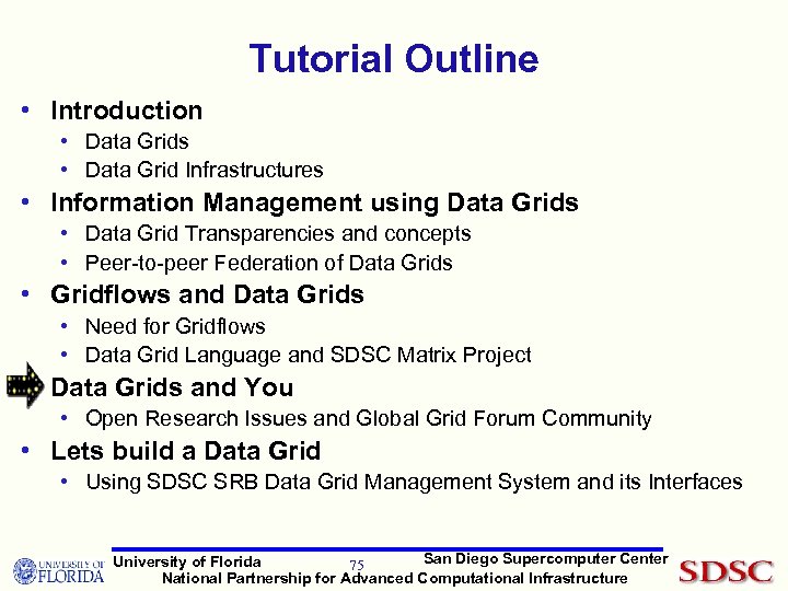 Tutorial Outline • Introduction • Data Grids • Data Grid Infrastructures • Information Management