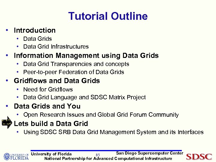 Tutorial Outline • Introduction • Data Grids • Data Grid Infrastructures • Information Management
