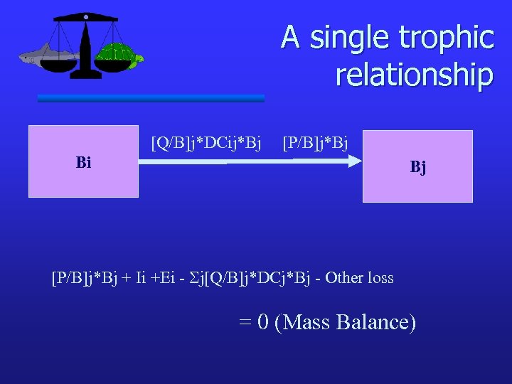 A single trophic relationship [Q/B]j*DCij*Bj [P/B]j*Bj Bi Bj [P/B]j*Bj + Ii +Ei - Sj[Q/B]j*DCj*Bj