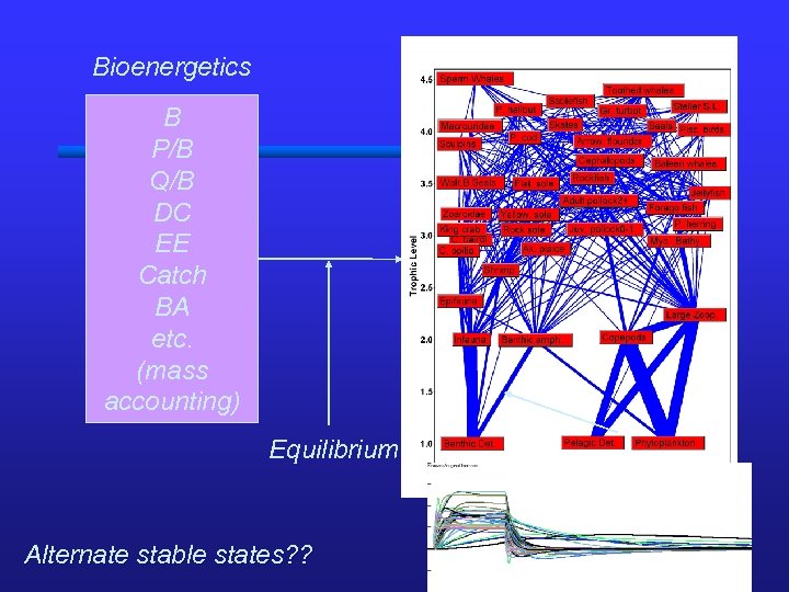 Bioenergetics Pop. Rates (Z is key) B P/B Q/B DC EE Catch BA etc.