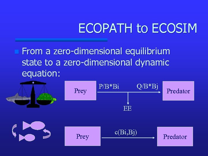 ECOPATH to ECOSIM n From a zero-dimensional equilibrium state to a zero-dimensional dynamic equation: