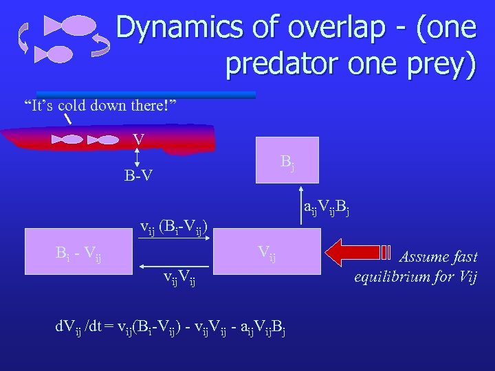 Dynamics of overlap - (one predator one prey) “It’s cold down there!” V Bj