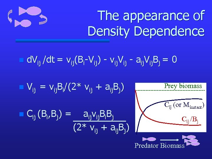 The appearance of Density Dependence n d. Vij /dt = vij(Bi-Vij) - vij. Vij