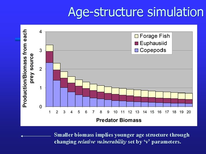 Age-structure simulation Smaller biomass implies younger age structure through changing relative vulnerability set by