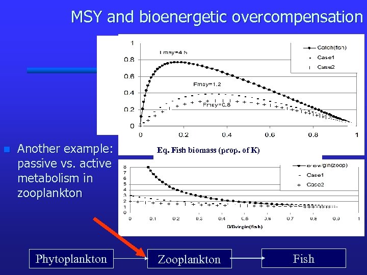 MSY and bioenergetic overcompensation n Another example: passive vs. active metabolism in zooplankton Phytoplankton