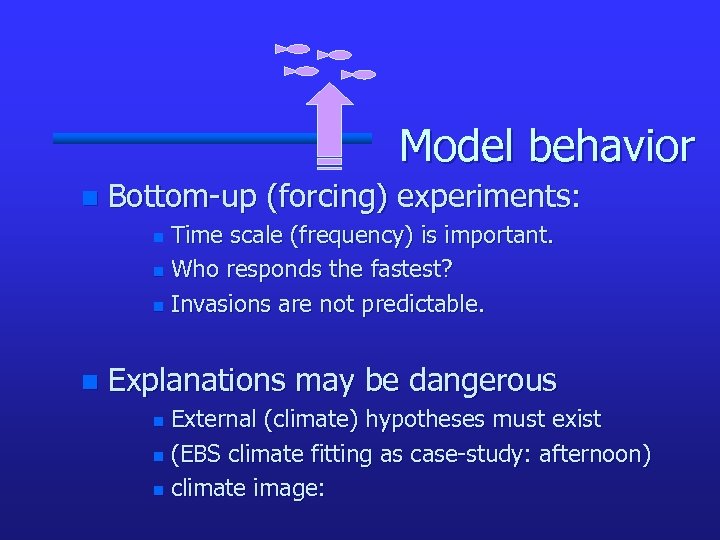 Model behavior n Bottom-up (forcing) experiments: Time scale (frequency) is important. n Who responds